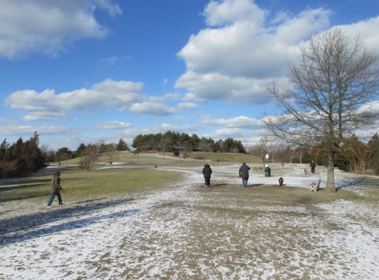 Weymouth Back River Reservation, Massachusetts, USA